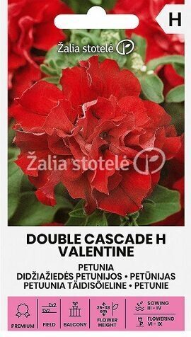 PETŪNIJAS PILDĪTĀS DOUBLE CASCADE H VALENTINE 20 gab Žalia stotelė